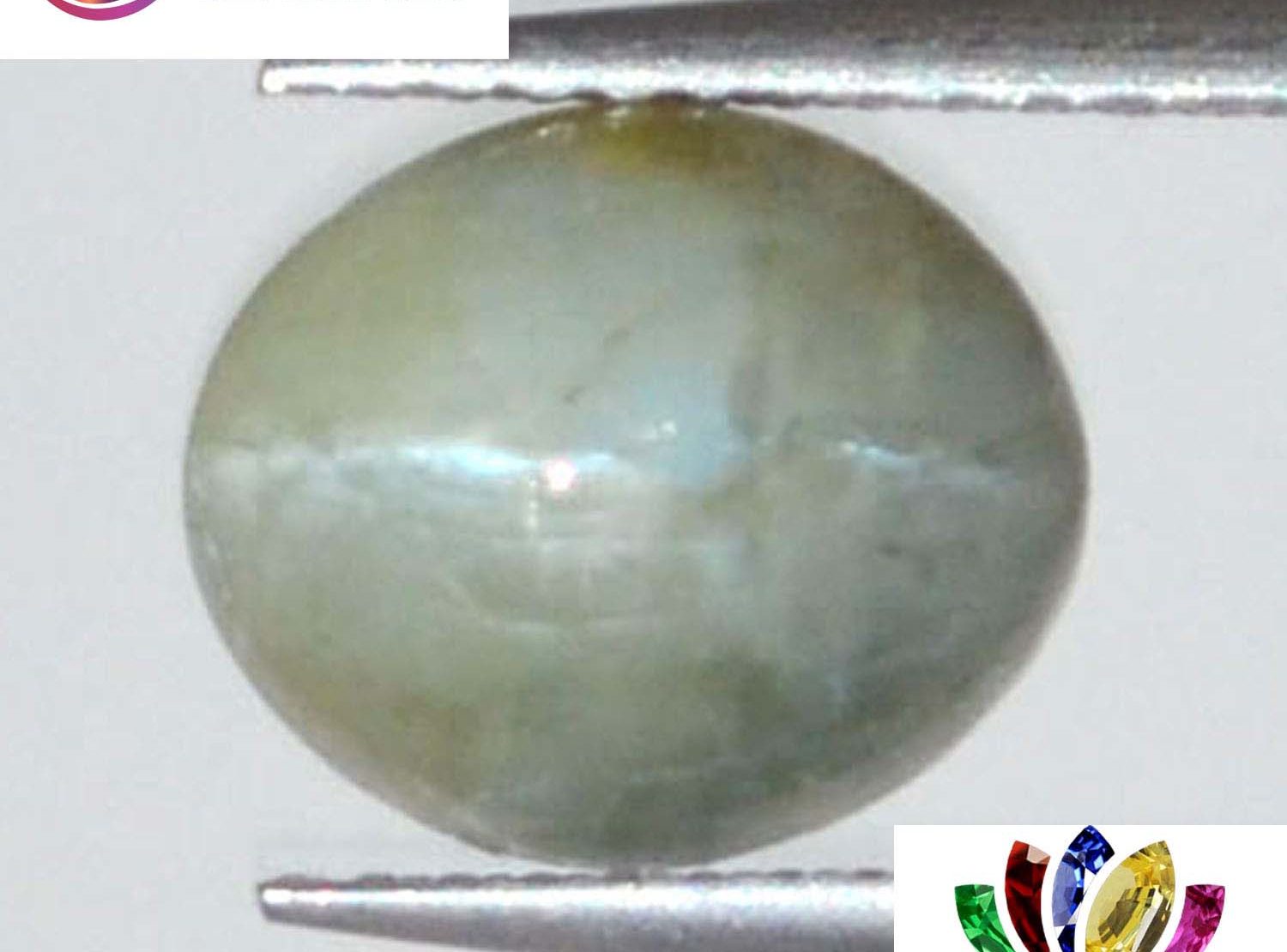 Cat's Eye 3.92 Ct.