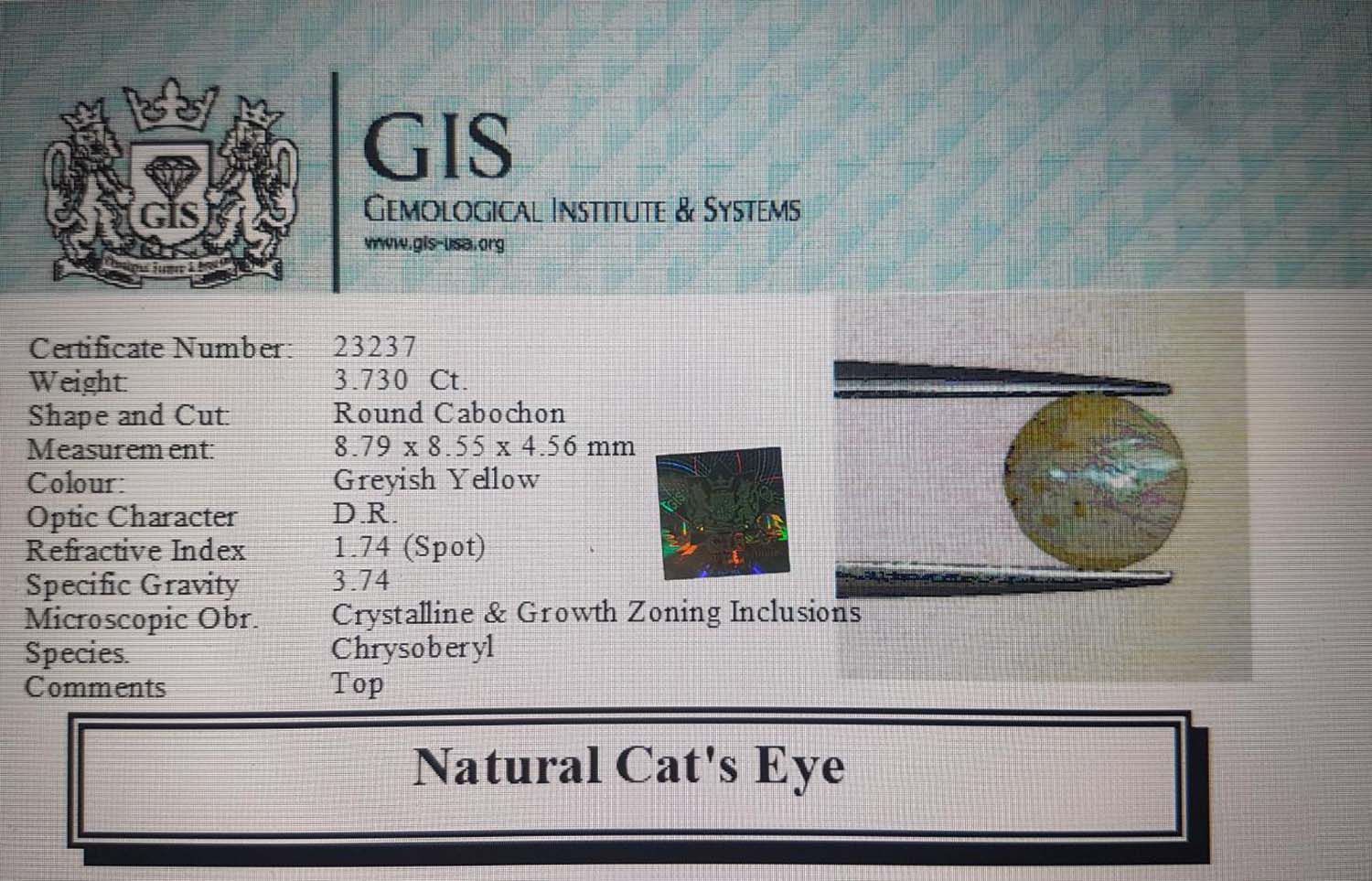Cat's Eye 3.73 Ct.