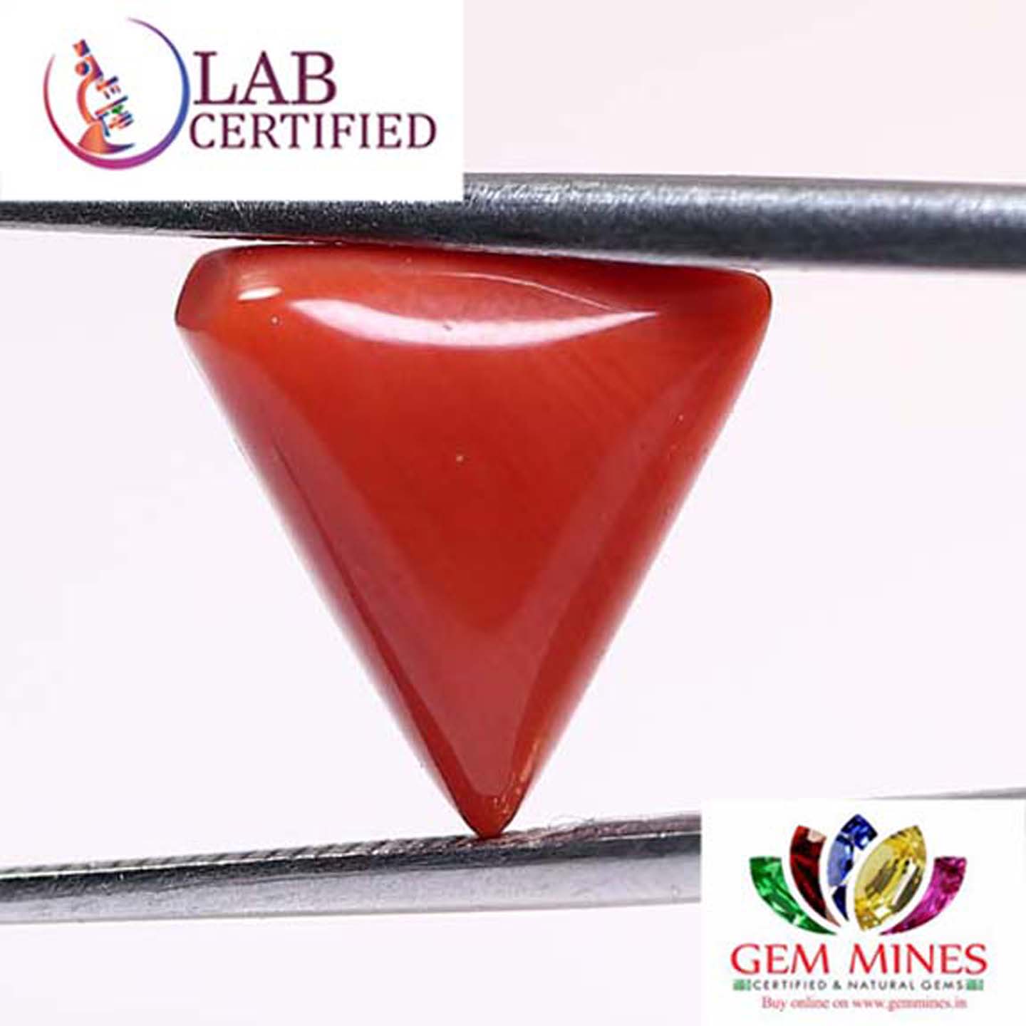 Coral 4.6 Ct.