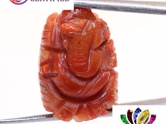 Ganesh Coral 20.11 Ct. Ganesh Coral 20.11 Ct.