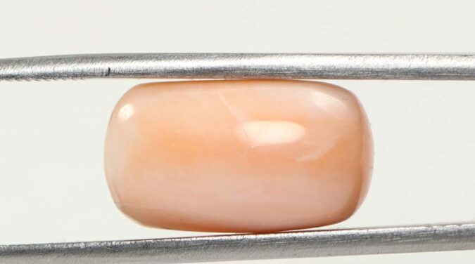 Coral 12.86 Ct.