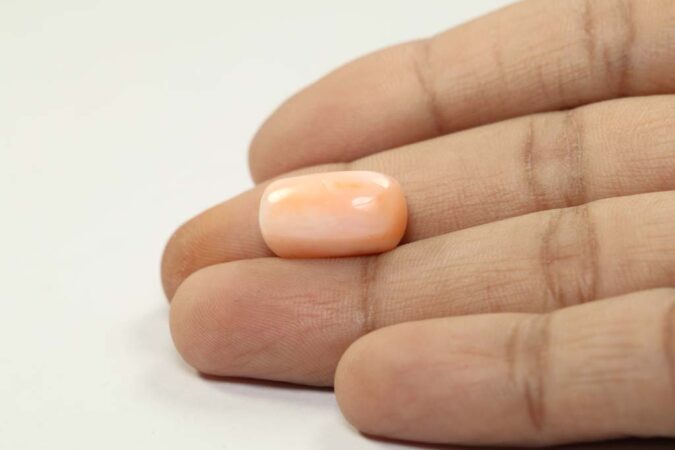 Coral 12.86 Ct.