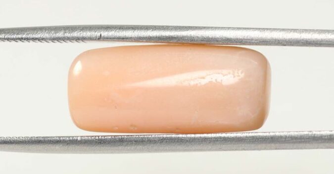 Coral 9.77 Ct.