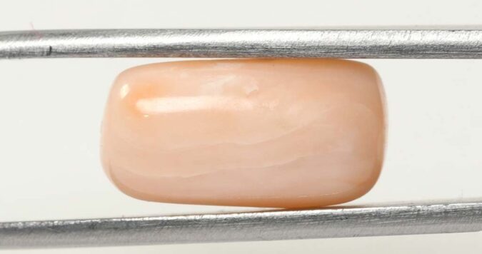 Coral 8.76 Ct.