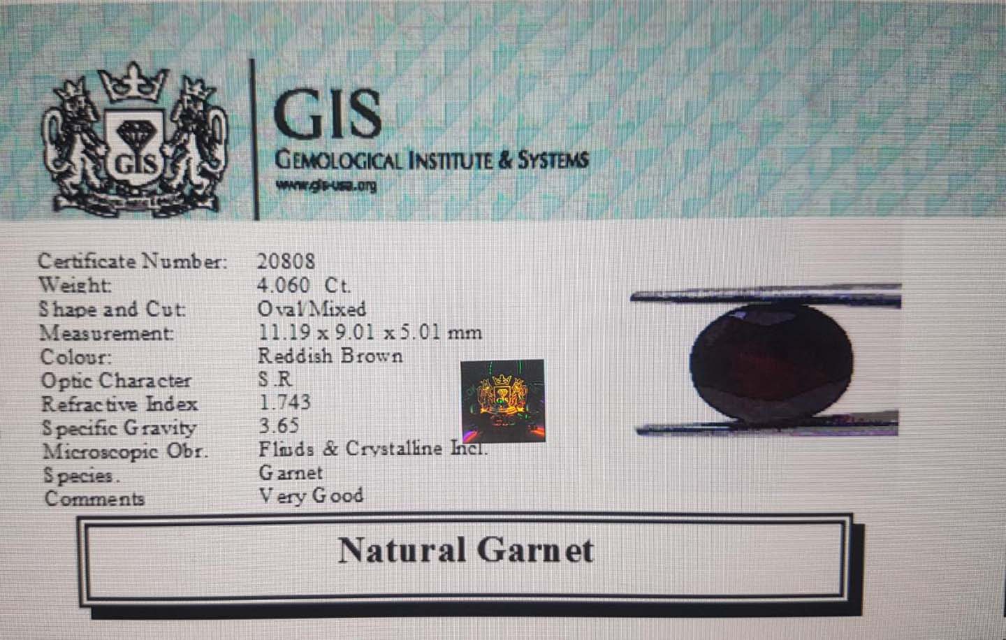 Garnet 4.06 Ct. Garnet 4.06 Ct.
