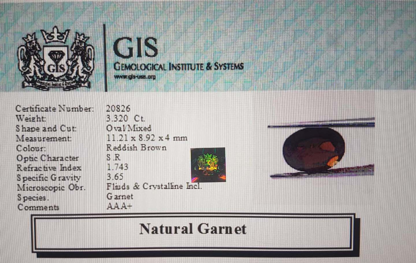 Garnet 3.32 Ct.