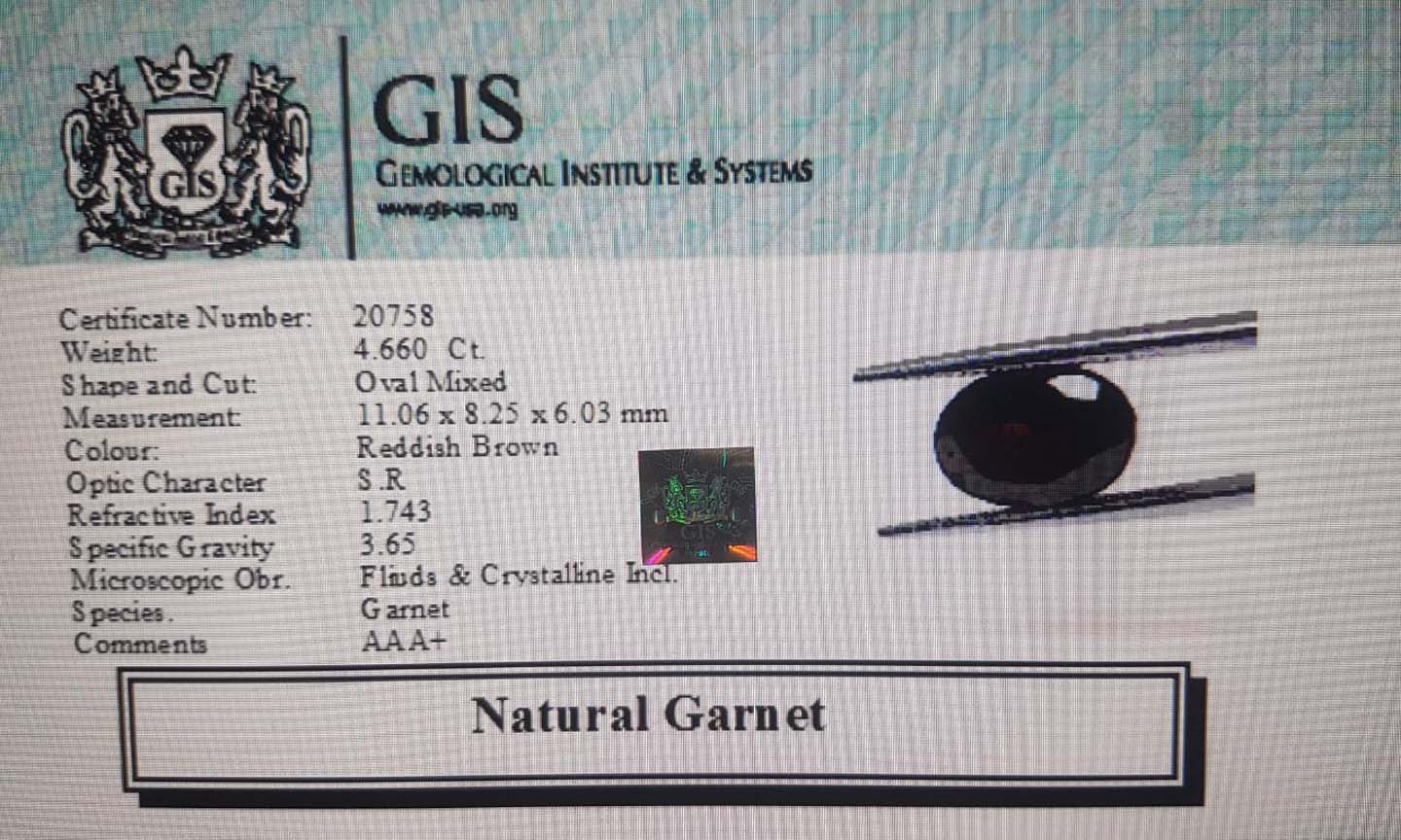 Garnet 4.66 Ct.