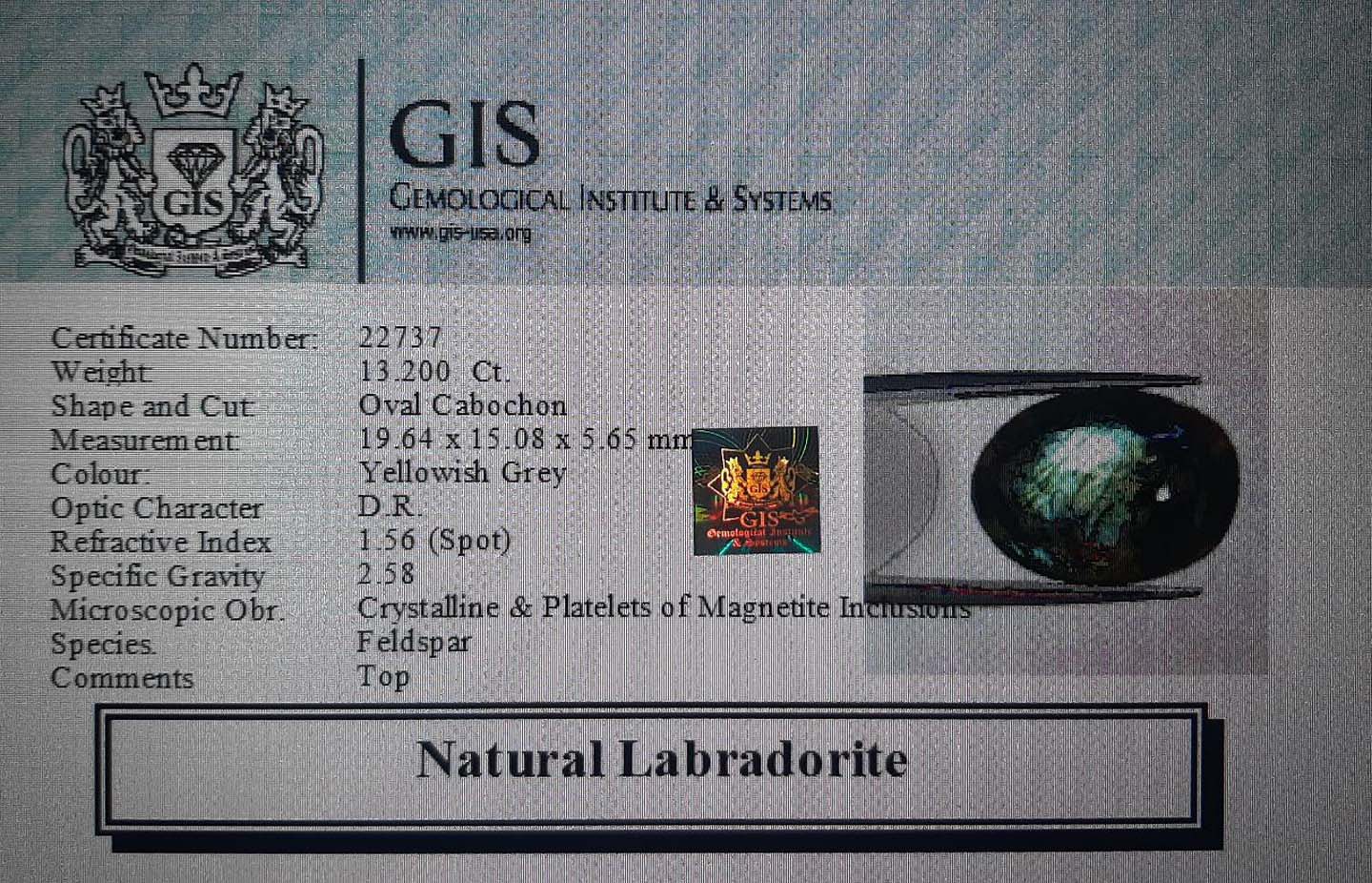 Labradorite 13.2 Ct.