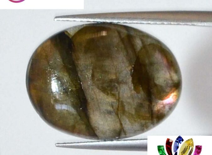 Labradorite 12.79 Ct.