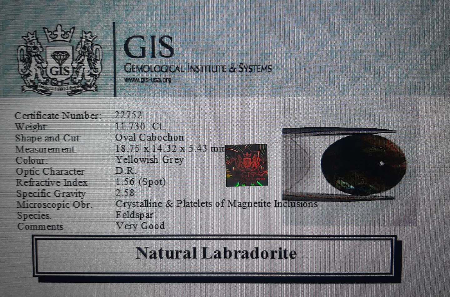 Labradorite 11.73 Ct.