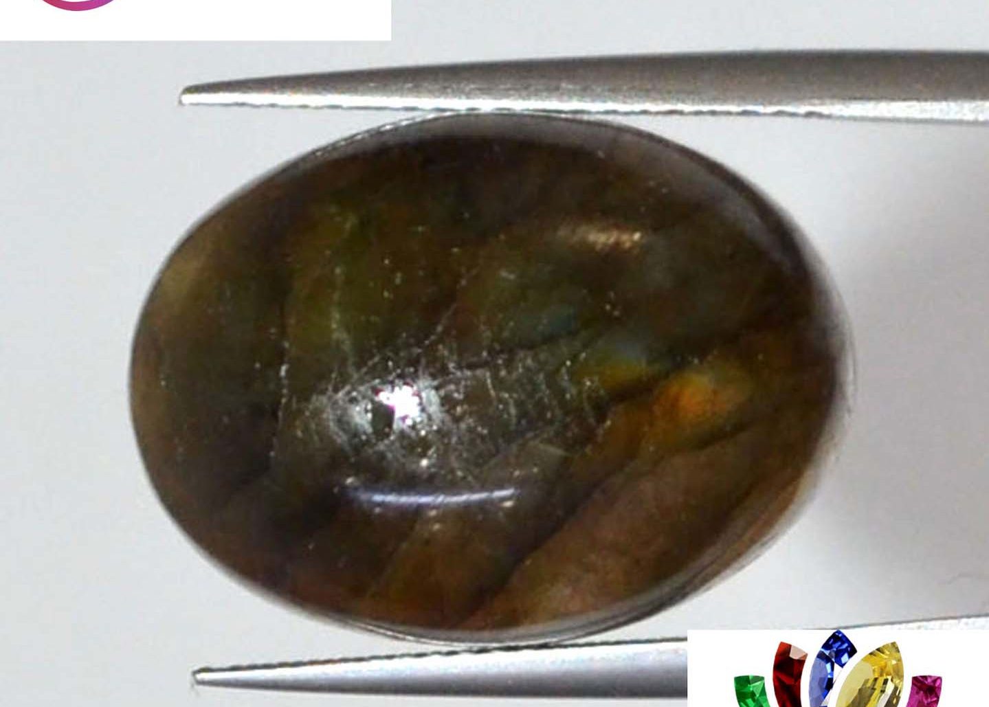 Labradorite 20.02 Ct.