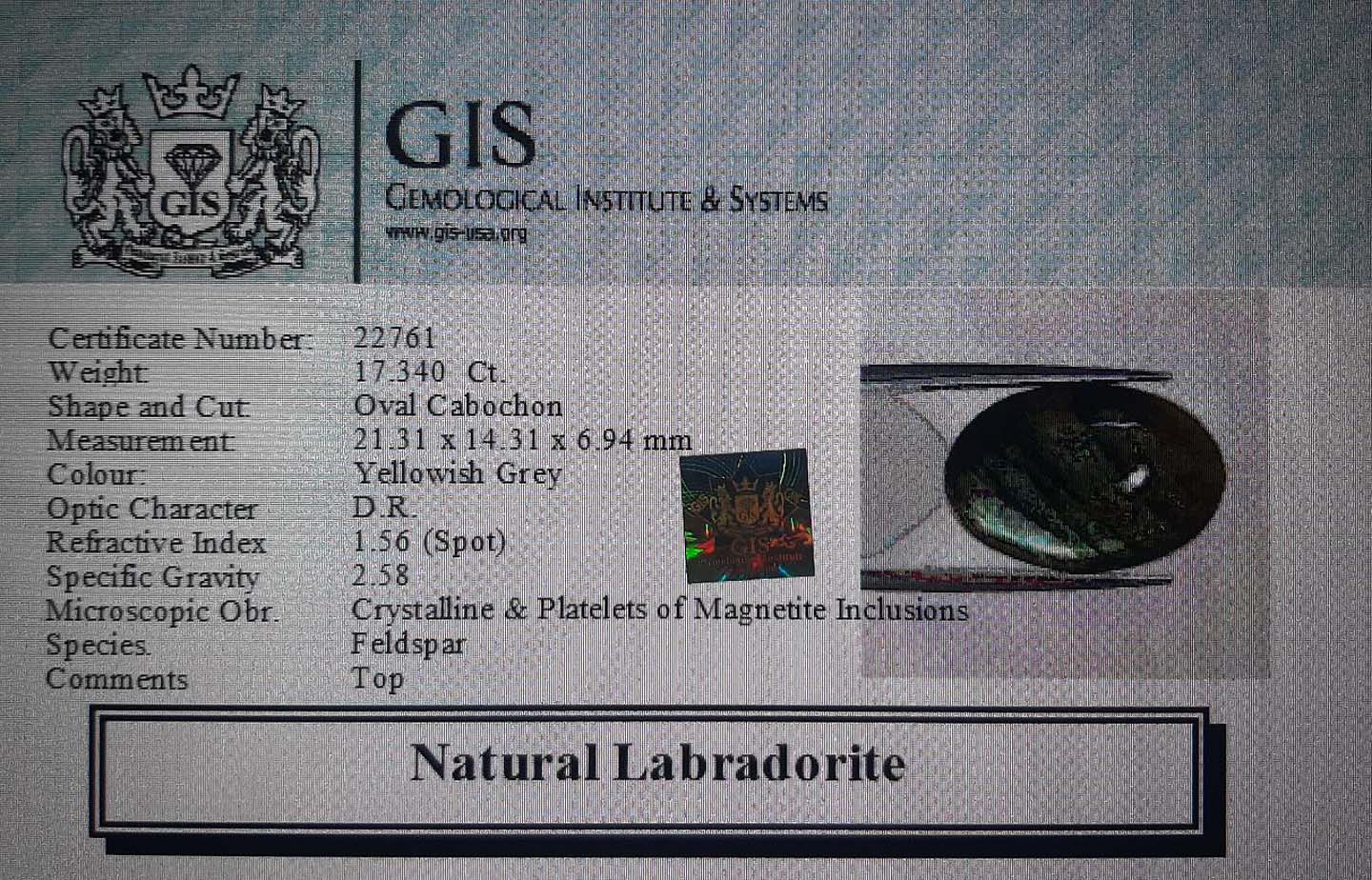 Labradorite 17.34 Ct.