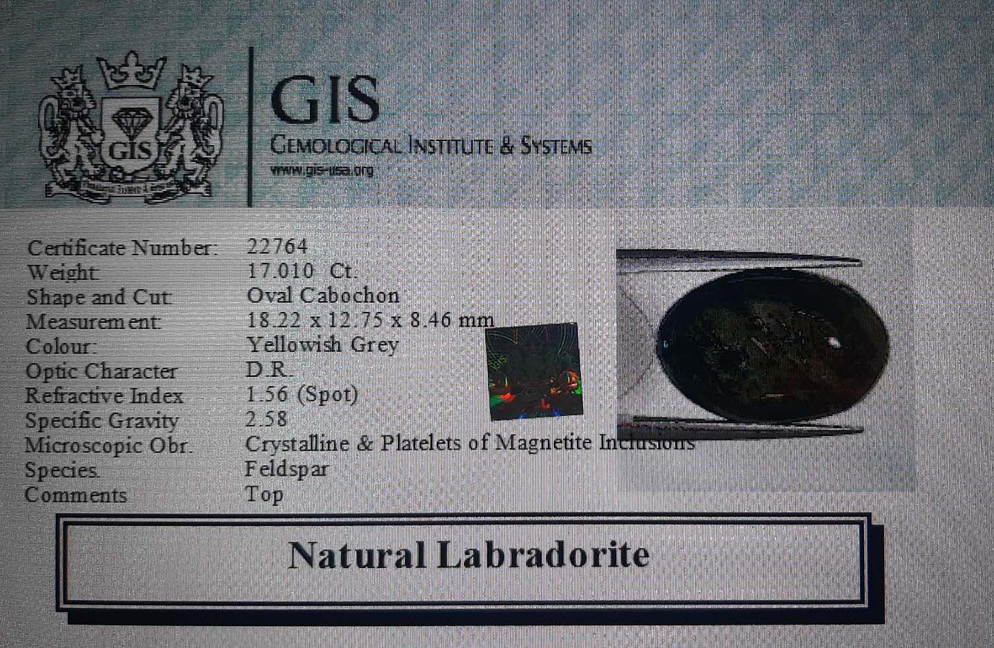 Labradorite 17.01 Ct.
