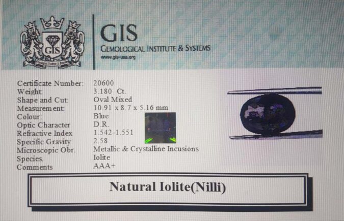 Iolite(Nilli) 3.18 Ct.