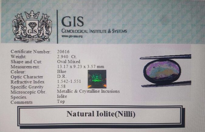 Iolite(Nilli) 2.94 Ct.