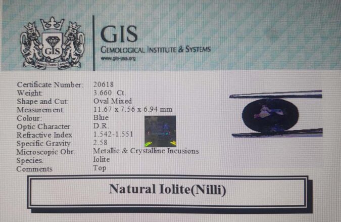 Iolite(Nilli) 3.66 Ct.