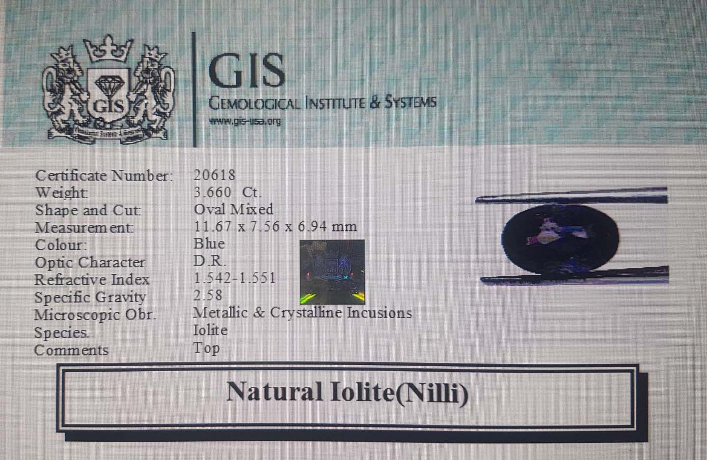 Iolite(Nilli) 3.66 Ct.