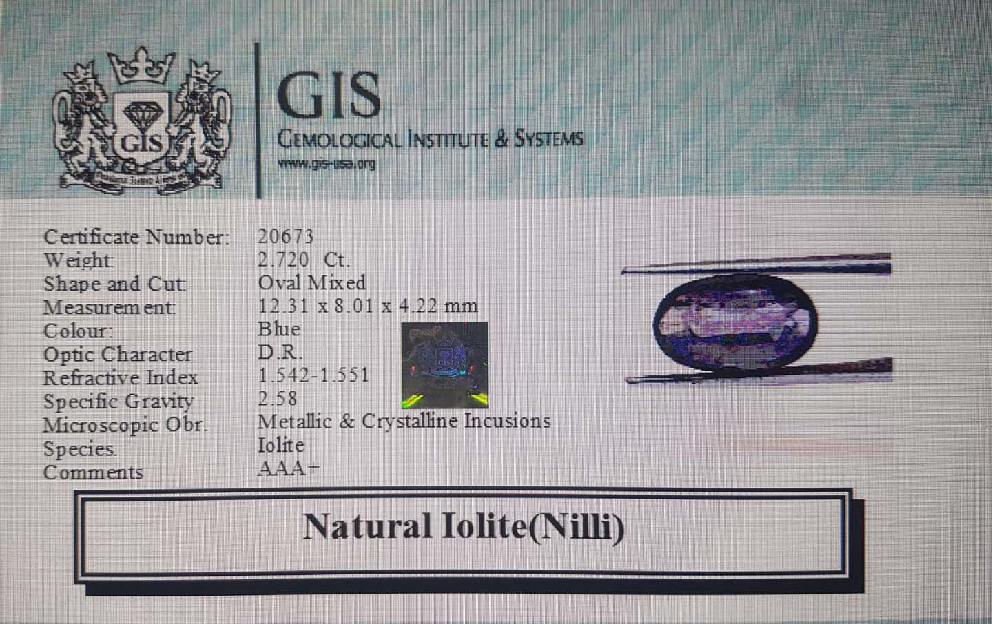 Iolite(Nilli) 2.72 Ct.
