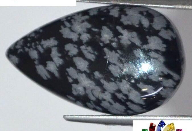 Blackflake Obsidian 10.51 Ct.