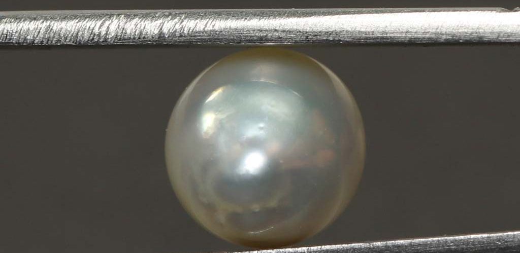 PEARL 5.95 Ct. PEARL 5.95 Ct.