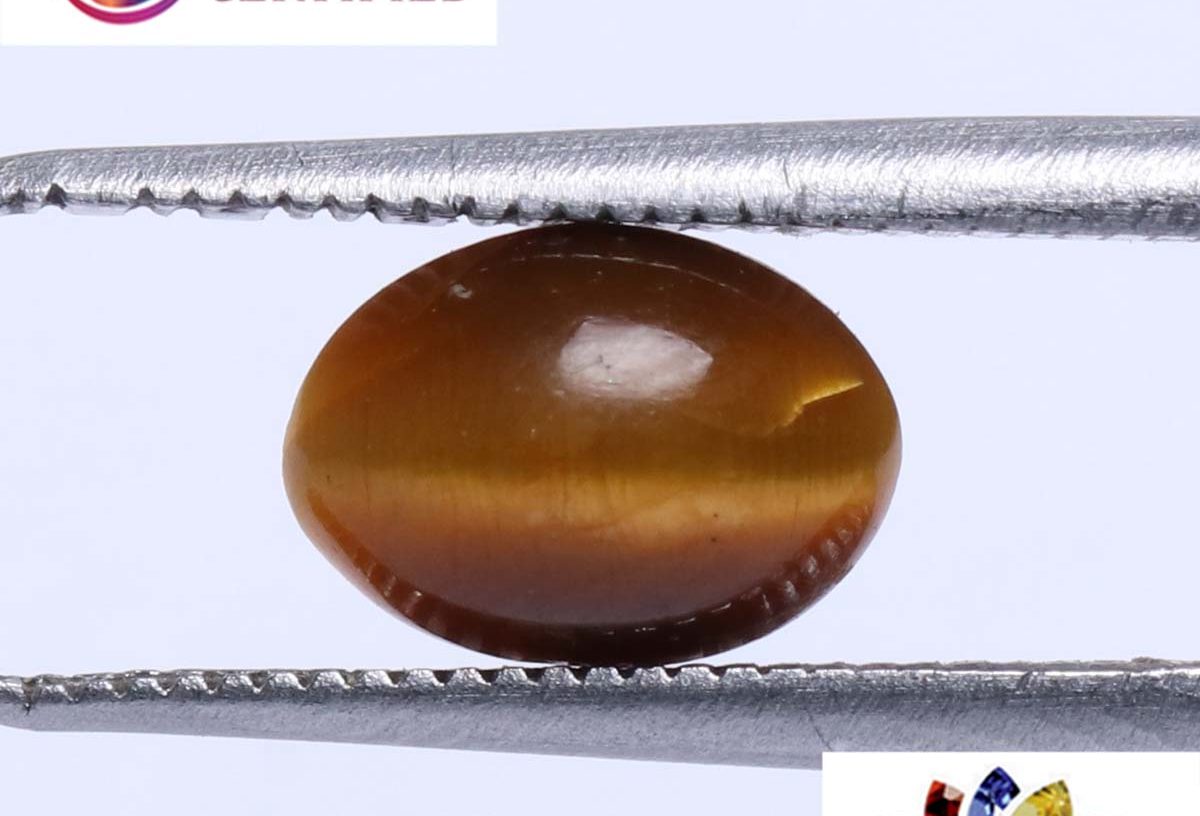 Tiger's Eye 1.47 Ct.