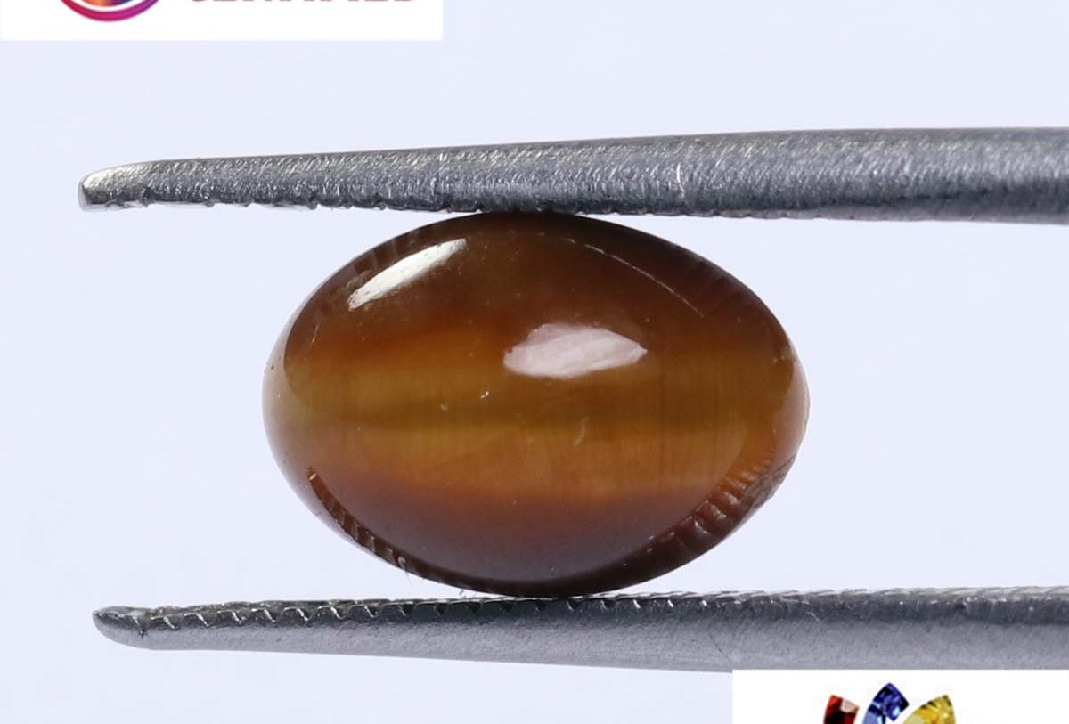 Tiger's Eye 2.6 Ct.