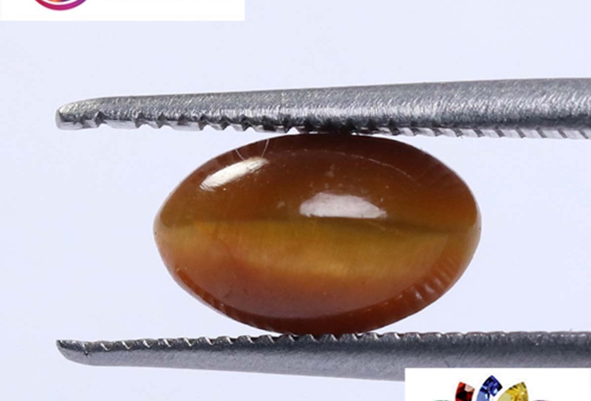 Tiger's Eye 2.04 Ct.