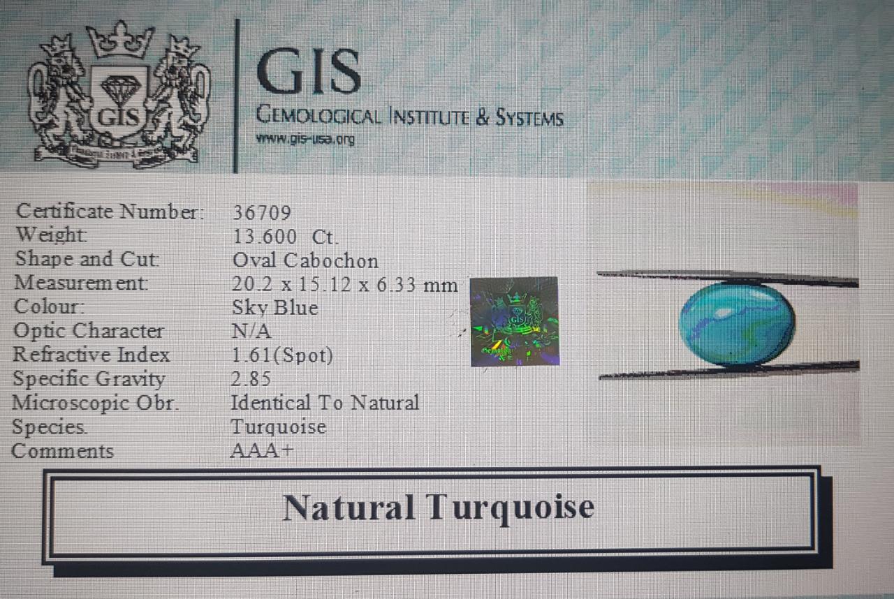 Turquoise 13.6 Ct. Turquoise 13.6 Ct.