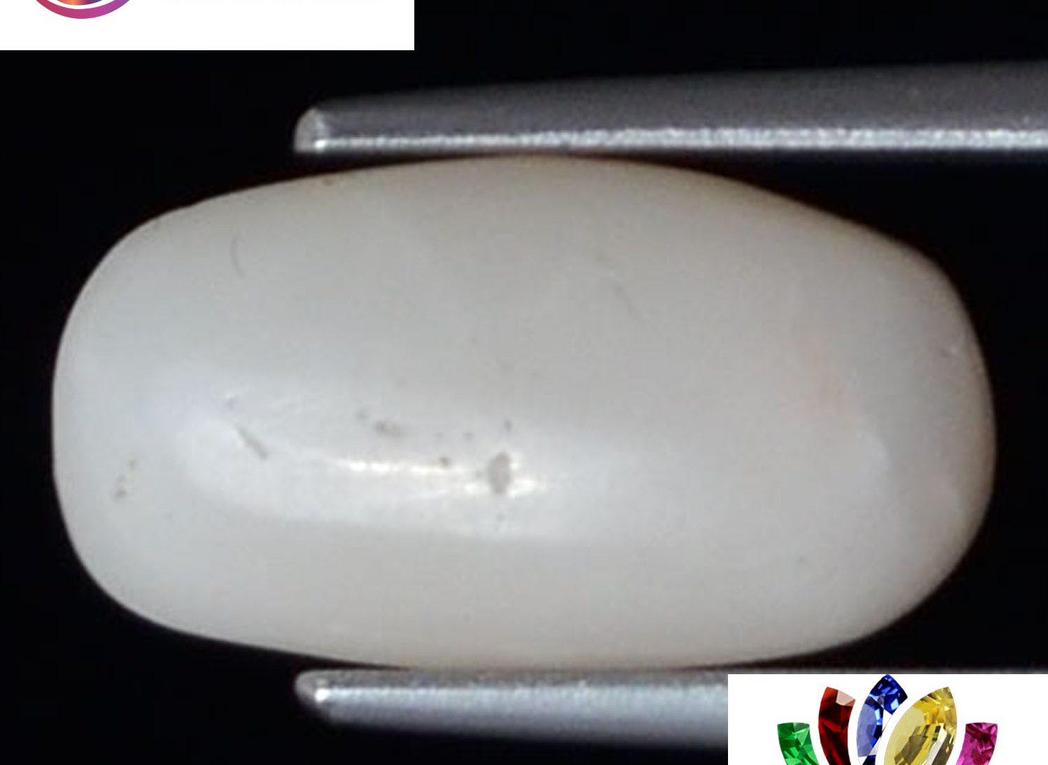 White Coral 4.98 Ct. White Coral 4.98 Ct.