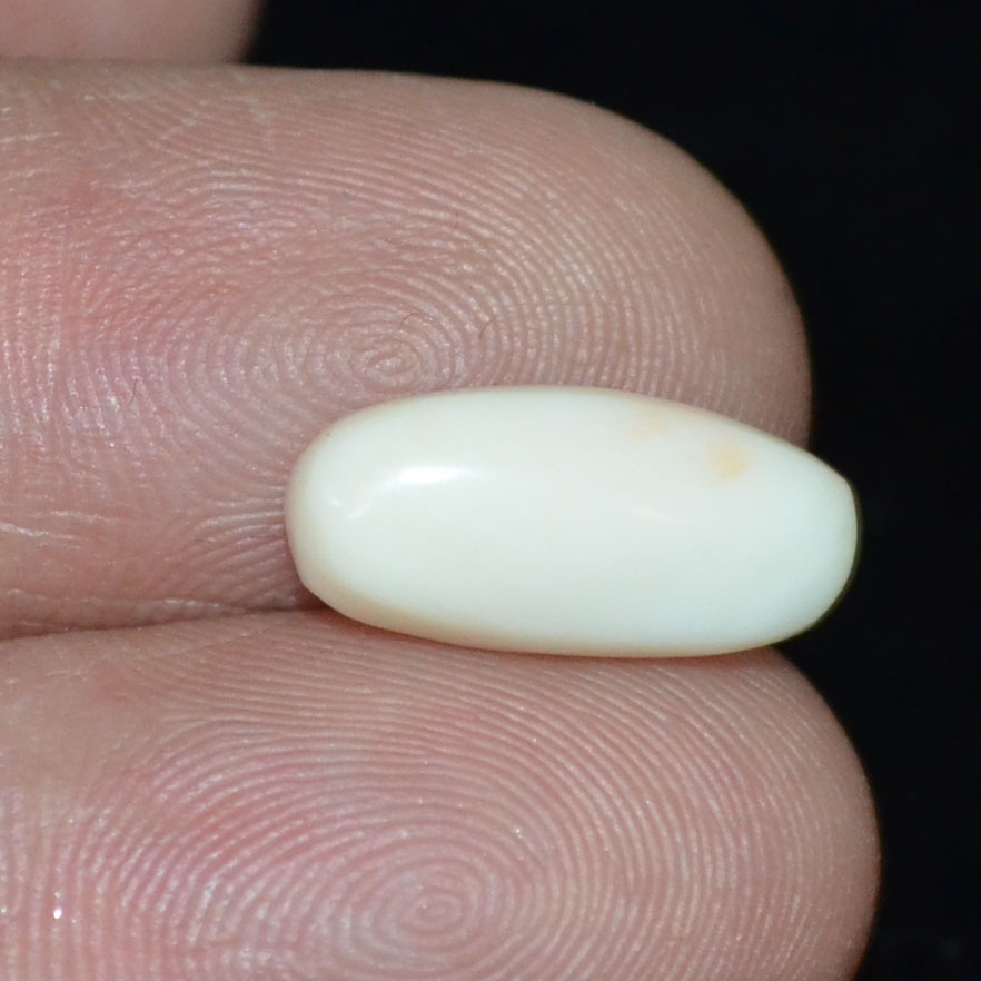 White Coral 4 Ct.