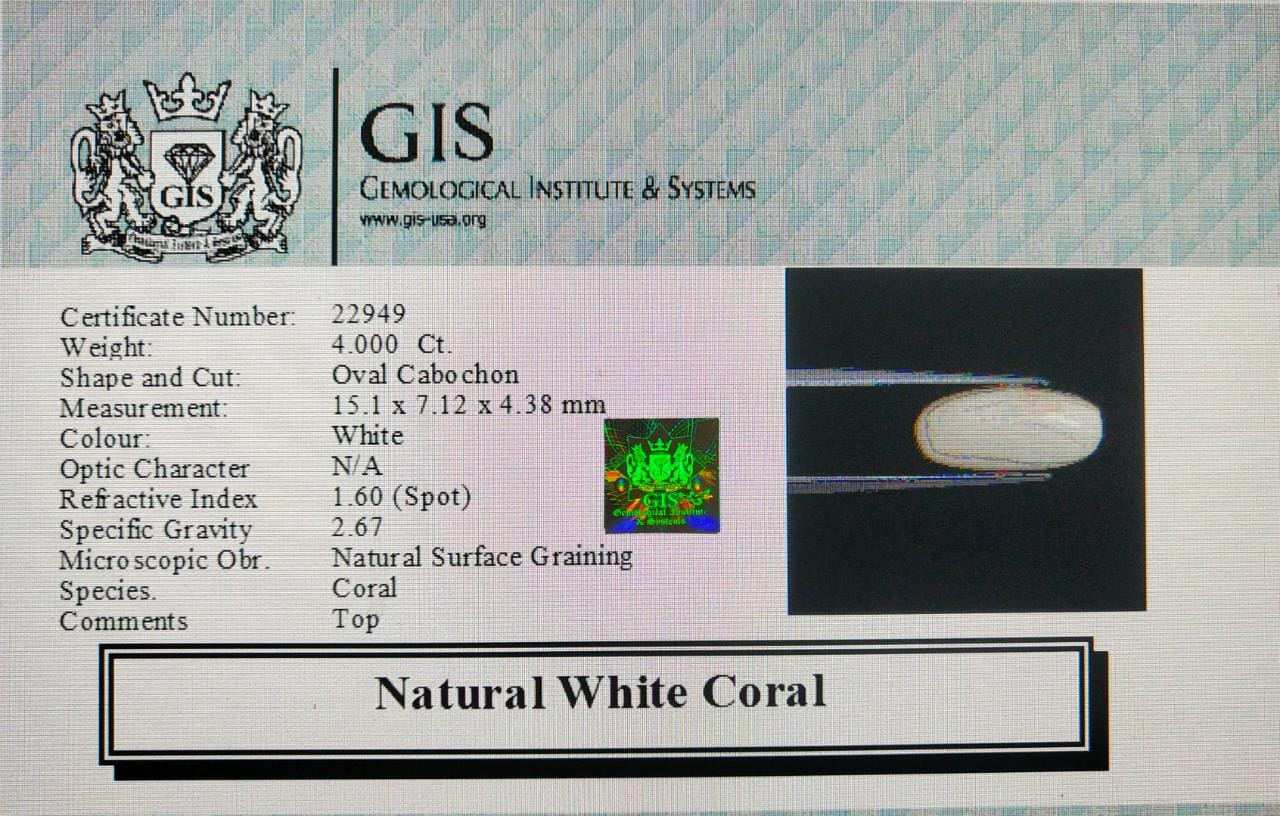 White Coral 4 Ct.