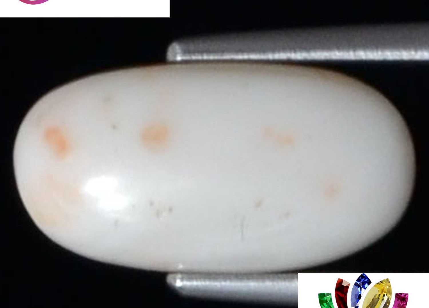 White Coral 3.33 Ct.