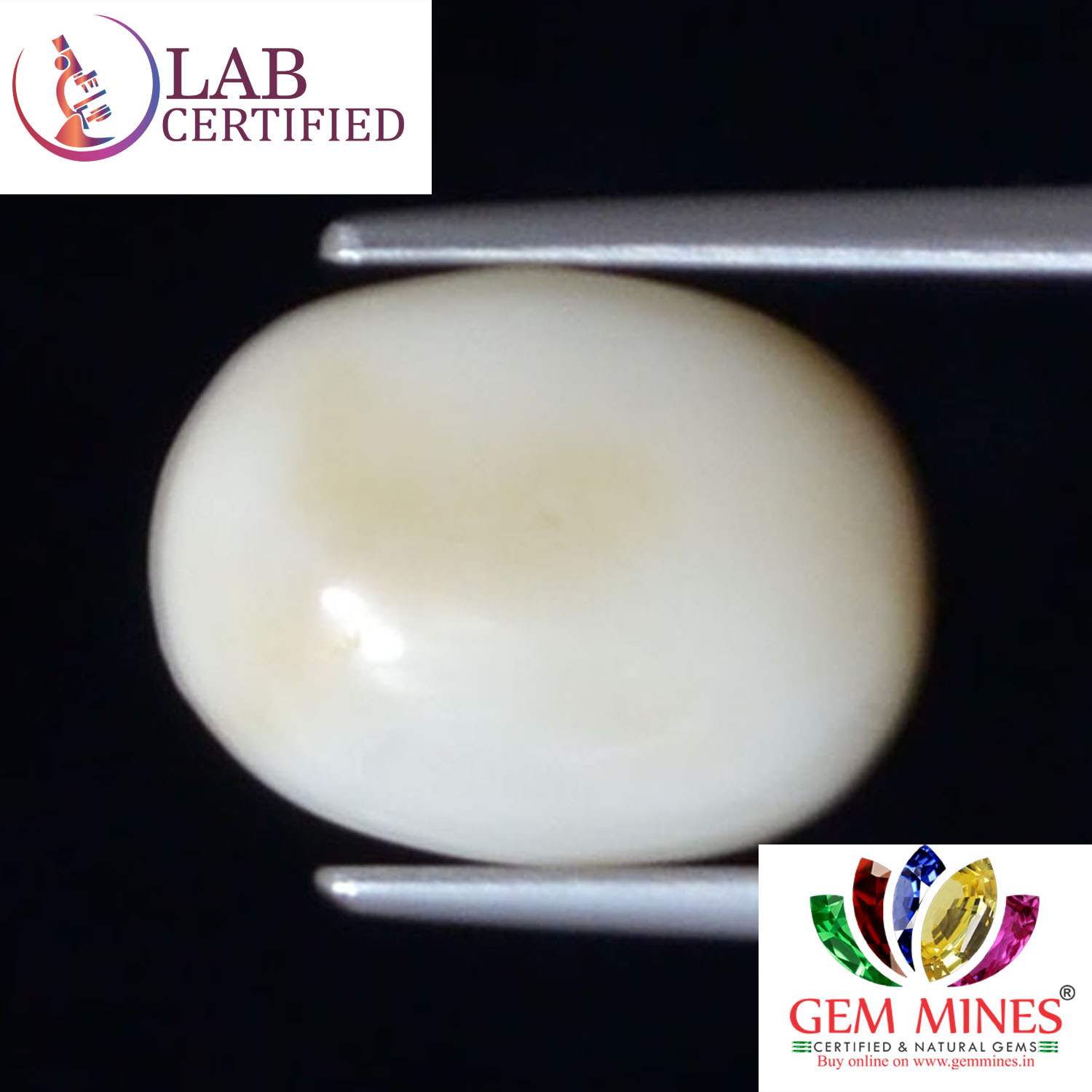 White Coral 4.43 Ct.