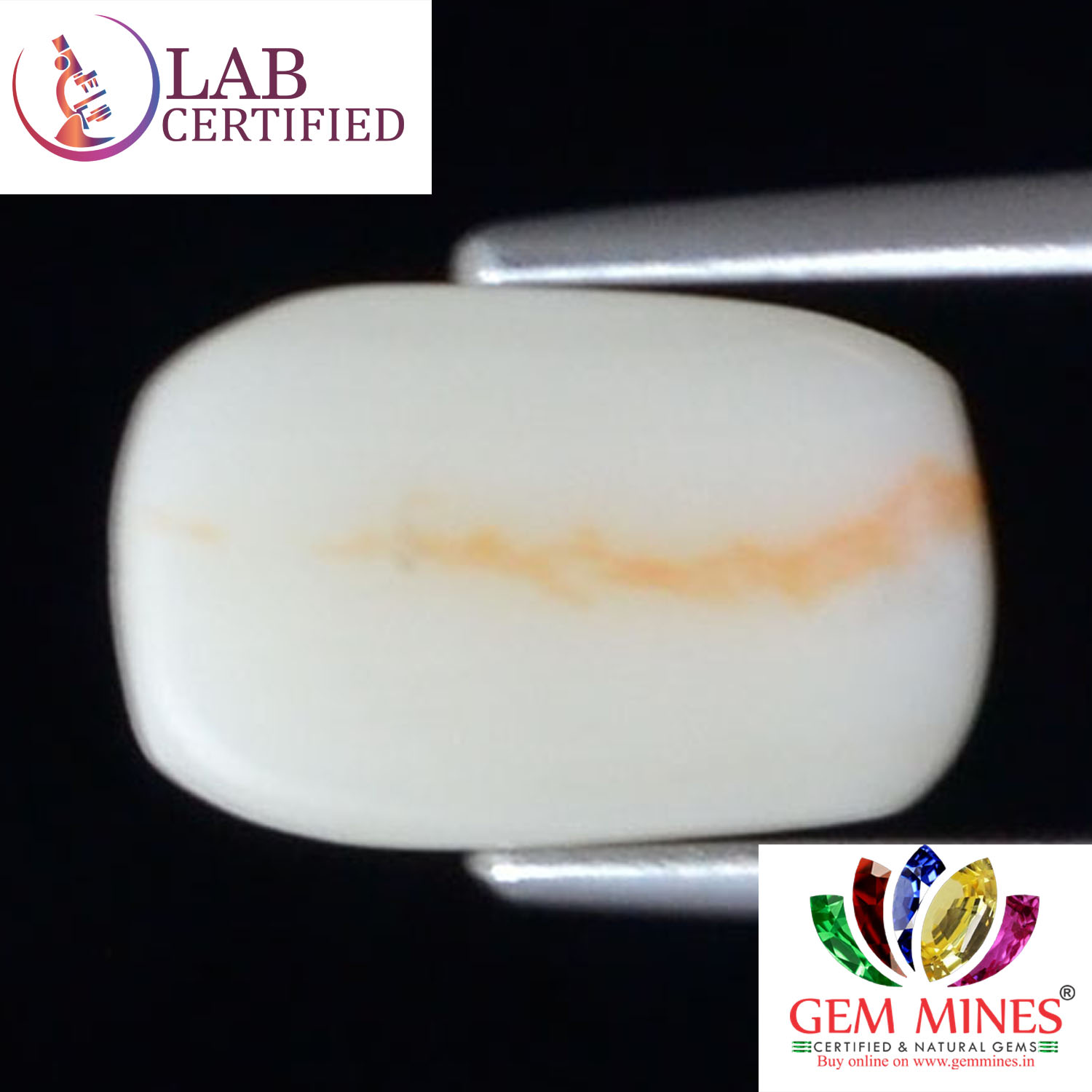 White Coral 2.58 Ct.