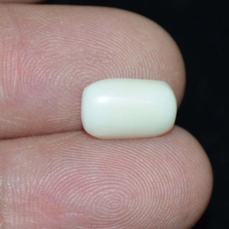 White Coral 2.58 Ct.