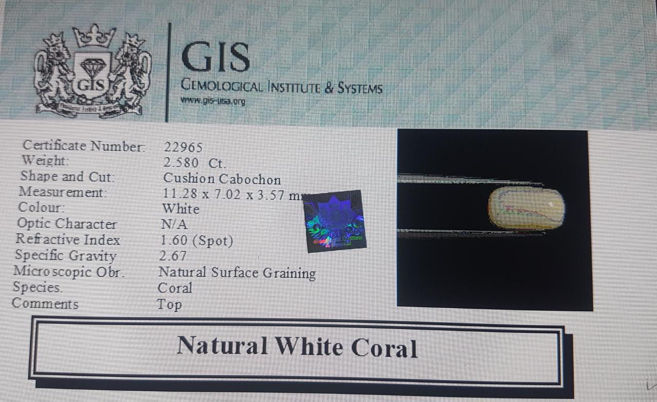 White Coral 2.58 Ct.