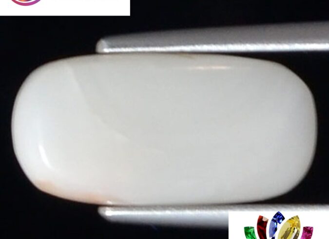 White Coral 3.5 Ct.