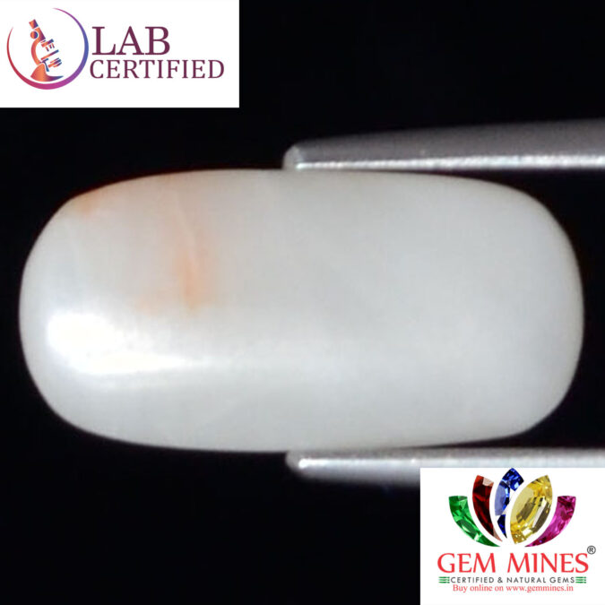 White Coral 3.5 Ct.