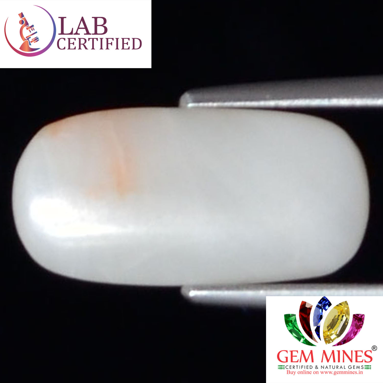 White Coral 3.5 Ct.