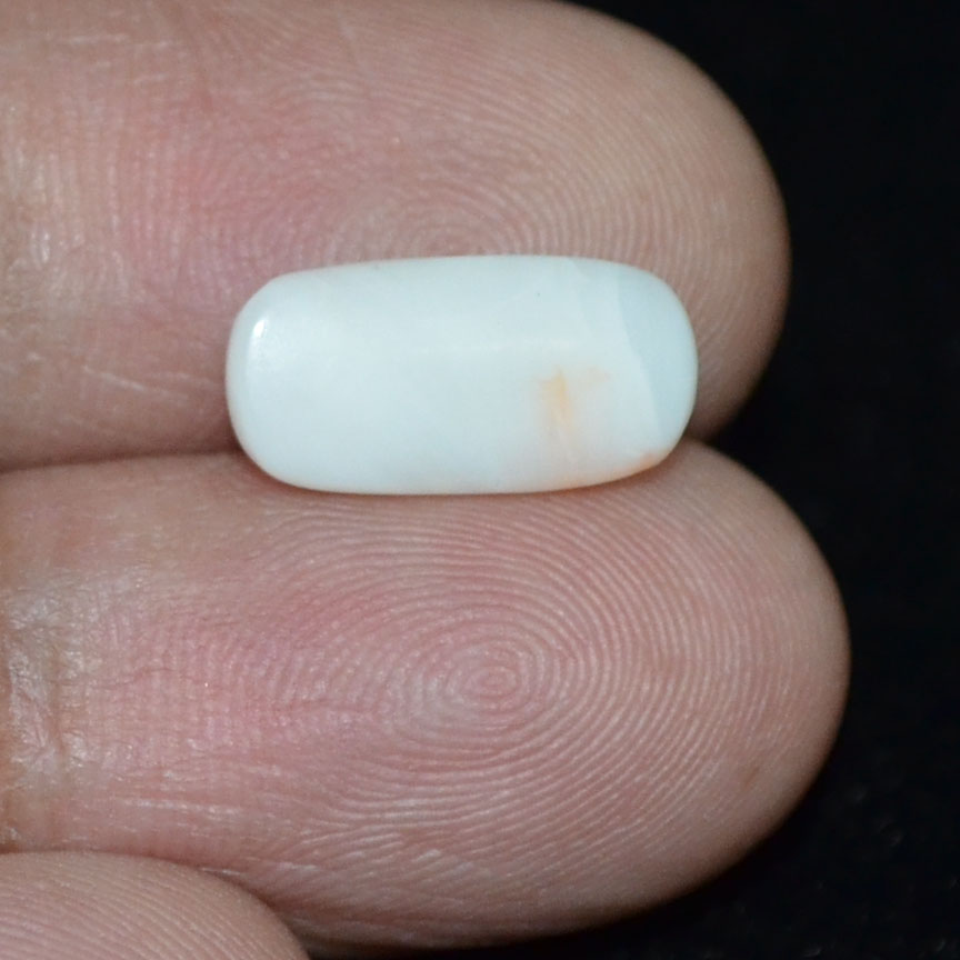 White Coral 3.5 Ct.