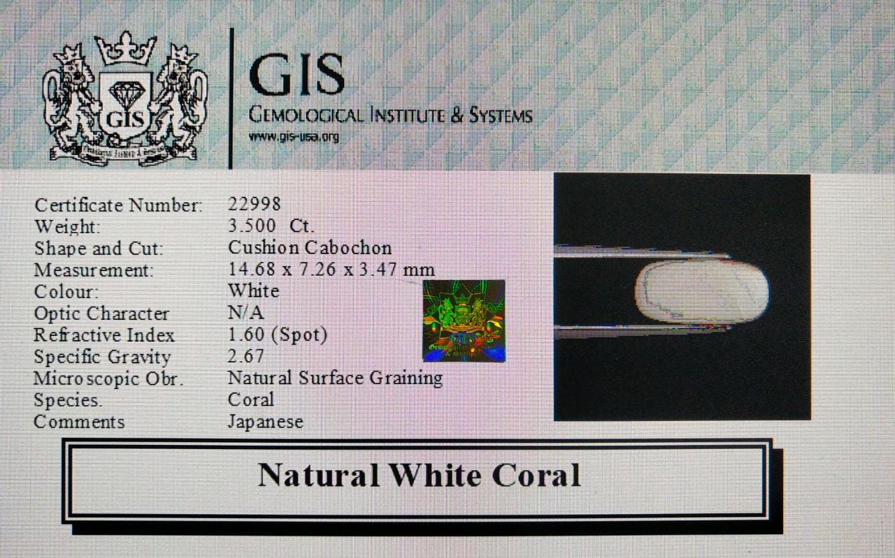 White Coral 3.5 Ct.