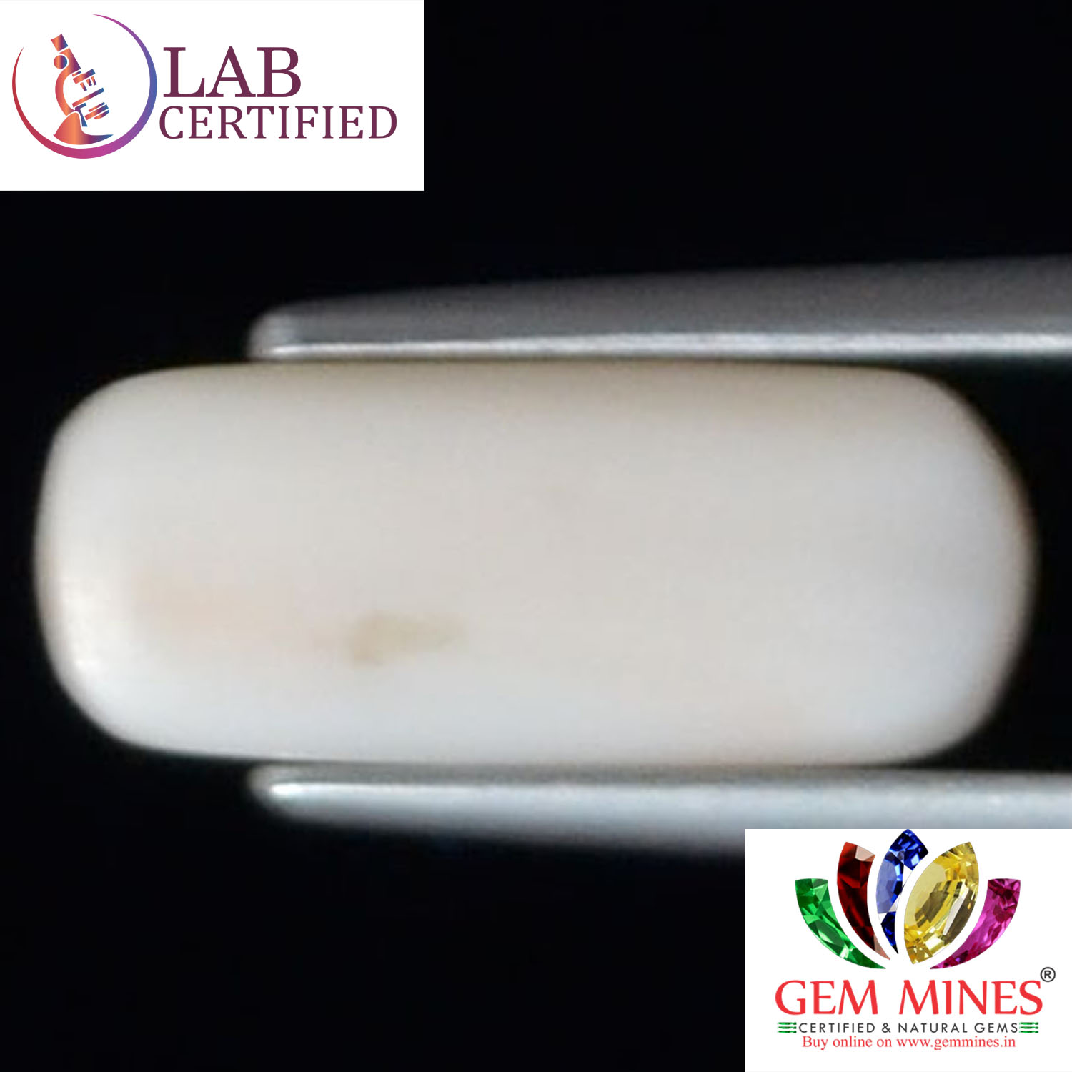 White Coral 2.66 Ct.
