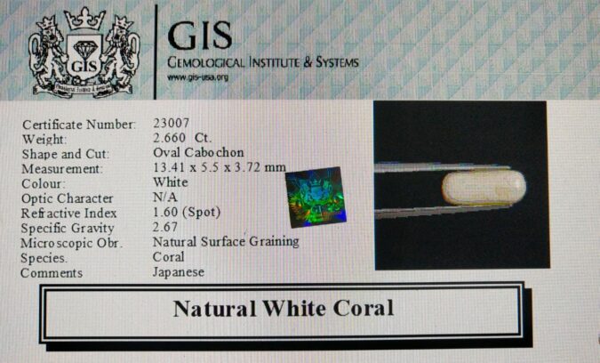 White Coral 2.66 Ct.