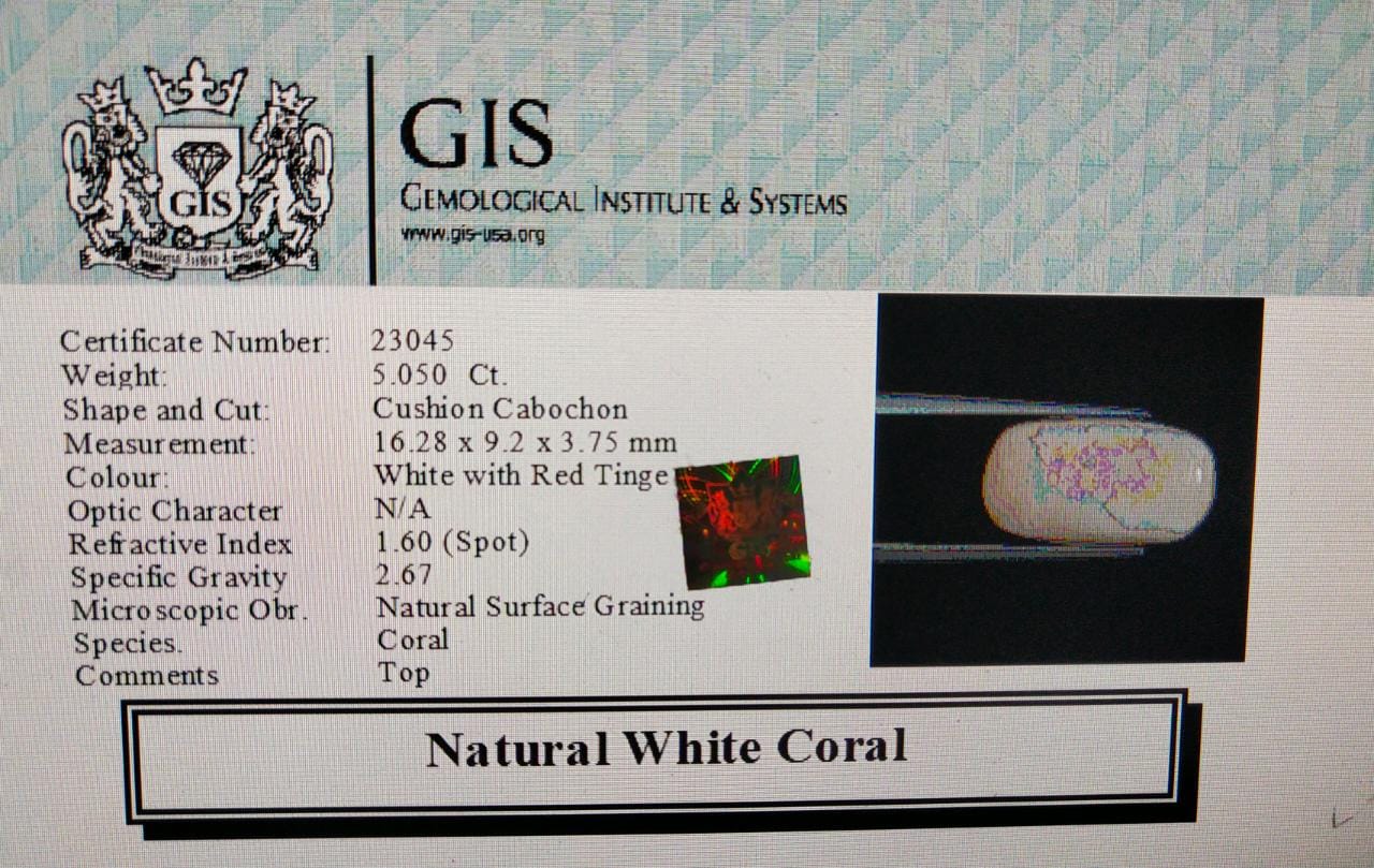 White Coral 5.05 Ct. White Coral 5.05 Ct.