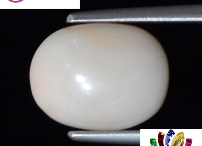 White Coral 3.24 Ct.