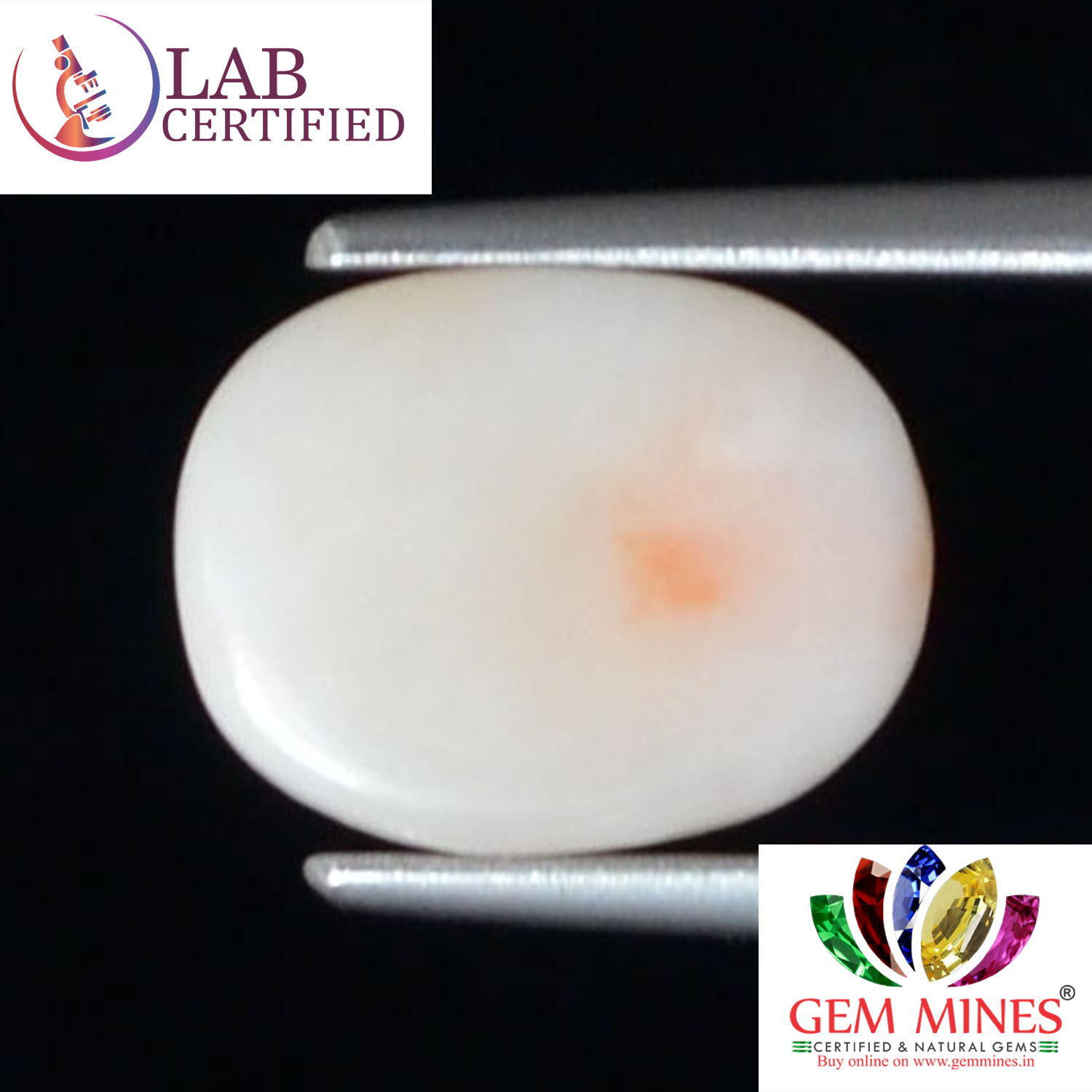 White Coral 3.24 Ct.