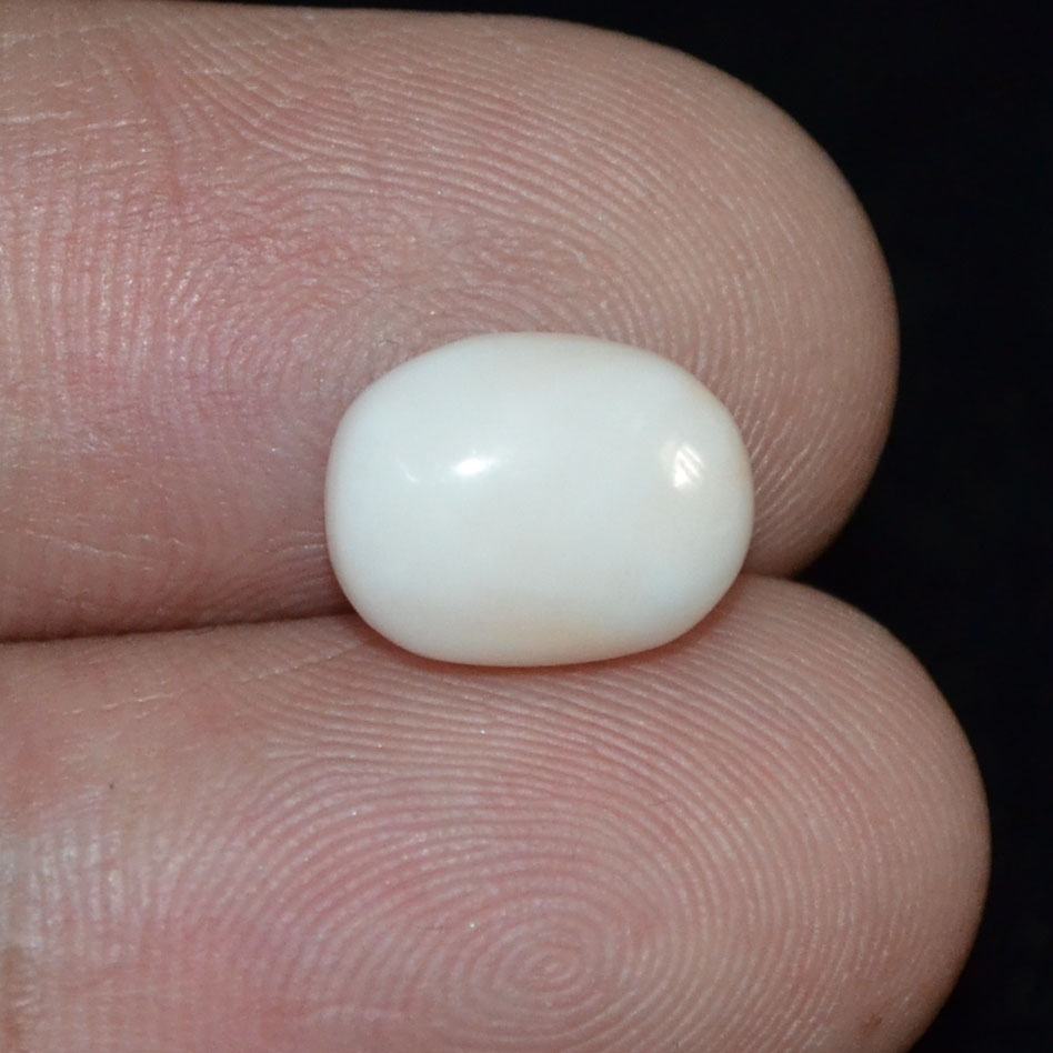 White Coral 3.24 Ct.