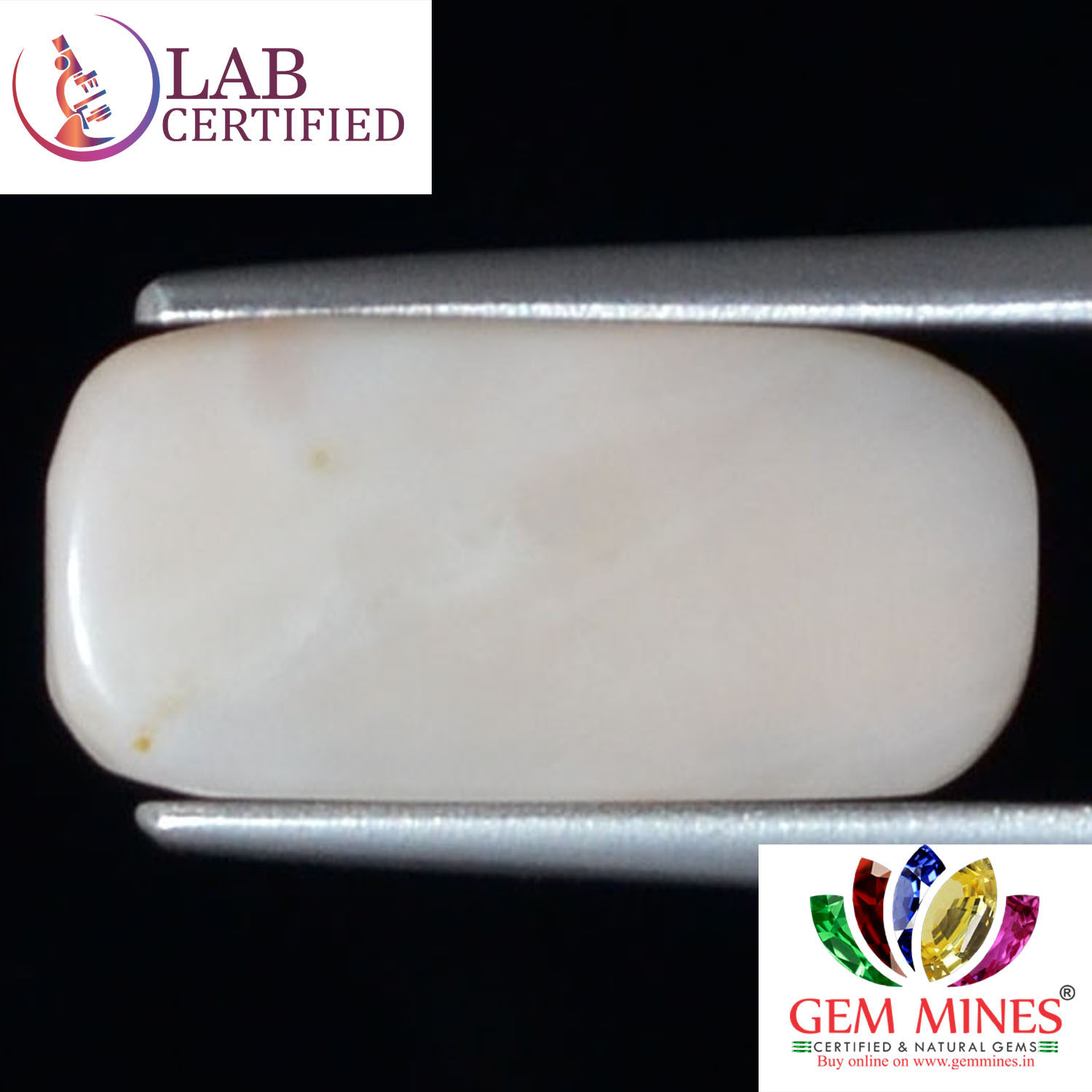 White Coral 5.23 Ct.