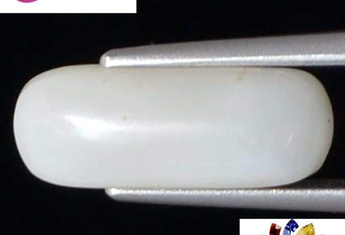 White Coral 4 Ct.