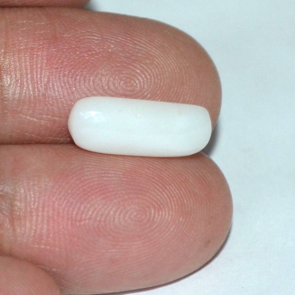 White Coral 4 Ct.